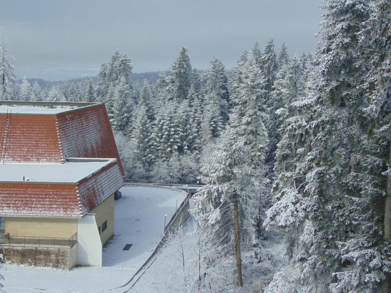 Ski Apartment Boyika Iglika 2 Borovets Bagian luar foto